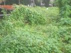 15 Perch Land for Sale in Nawala CVVV -A2