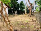 15 Perch Land for sale in Pallidora, Kawdana Road, Dehiwala.