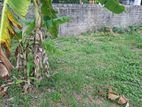 15 Perch Land for Sale in Seeduwa (හරි හතරැස් ඉඩමක්)