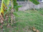15 Perch land for sale in Seeduwa, Raddolugama - හරි හතරැස් ඉඩම