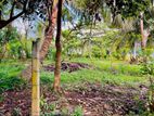 15 Perch Land for Sale in Waskaduwa – 50m to Galle Road
