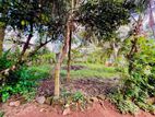 15 Perch Land for Sale in Waskaduwa – 50m to Galle Road