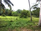 15 Perch Land for Sale Pannala, Irabadagama