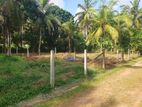 15 Perch Land for Sale - Veyangoda