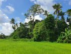 15 Perch Paddy Field View Land on Temple Road, Maharagama (SL 14340)