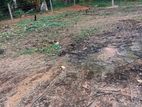 15 Perch Residential Land at Minuwangoda