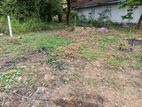 15 Perch Residential Land at Minuwangoda