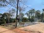 15-Perch Residential Land for Sale – Minuwangoda