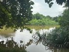 15 Perch River front Land