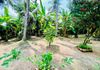 15 perch with nice simple house for sale in negombo