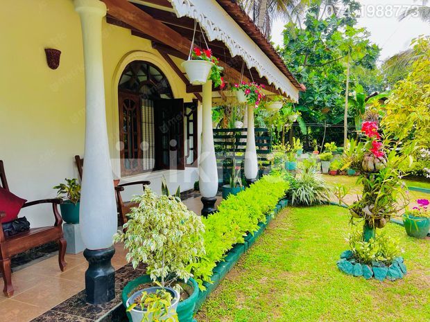 15 perch with nice simple house for sale in negombo