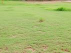 15 Perches Bare land for sale in Mount Lavinia (C7-10219)