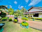 15 Perches Land Beautiful Garden House For Sale In Kandawala Katana Area