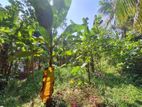 15 Perches Land for Sale in Ambaraluwa, Weliveriya