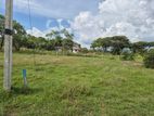 15 Perches Land for Sale in Anuradhapura