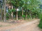 15 Perches Land for Sale in Giriulla