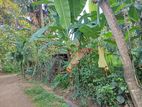 15 Perches Land for Sale in Ridimaliyadda