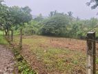 15 Perches Residential Land for Sale in Kurunegala, Medalanda Waththa
