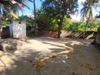 1.5 பரப்பு காணி விற்பனைக்கு Jaffna