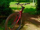 Mountain Bicycle