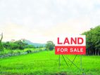 15.1P Prestigious Land For Sale In Heart Of Rajagiriya
