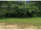 153.35P Bare Land for Sale in Deniyaya (SL 14566)