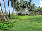 154 Perches Land for Sale in Galle Road, Hikkaduwa.