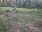 154 Perches Land for Sale in Kotawila, Matara (SSPL-429)