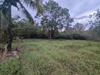 154P Bare Land for Sale - Wariyapola, Galagedara