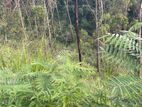 15.5 Acres Land For Sale in Udupussellawa