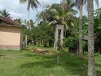 155 P Land with House Sale at Bandaragama