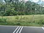 155 Perches Land for Sale in Bandaragama
