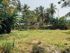 157 Perches Land Facing Bolgoda Lagoon to be sold in Moratuwa.