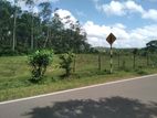 158 Perches Land For Sale In Bandaragama Millaniya