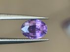1.59 Carat Un-Heated Natural Violet Sapphire