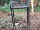 1.5ft × 9inch ×1ft Fish Tank with stand