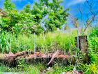 15P Land For Sale In Negombo Dalupotha Area