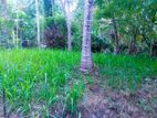 15P Land for Sale Wariyapola, Galagedara near Emiliana hotel