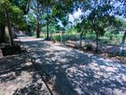15P Land for Sale Wariyapola, Ganewaththa Town Area