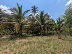 15P Residential Land – Gonagama, Wariyapola