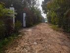 15P Valuable Residential Land for Sale in Weliweriya