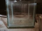 15×15cm Cube High Quality Glass Fish Tank For Betta (Fighter)