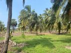 16 Acres Land for sale in Mundalama,Putttalam