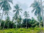 16 Acres of Scenic Cultivated Land for Sale at Kurunegala