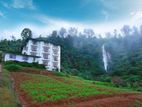 16-Key Hotel with Land for Sale in Nuwara Eliya