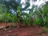 16 Perch Land for Sale 1km Away from Kadawatha - Ganemulla (223) Road