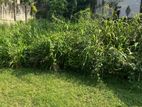 16 Perch Land for Sale in Madiwela Road, Udahamulla PCCC-A1