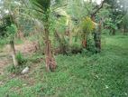 16 Perches Land for Sale in Kindelpitiya Junction, Piliyandala.