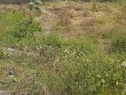 16 Perches Land Sale in Dehiwala