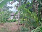 16 Perches Lands for Sale at Horagolla, Ganemulla